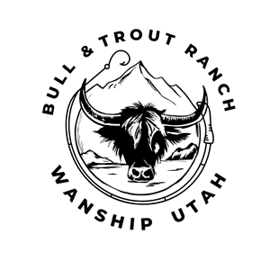 Design de Logo par DesignNXT pour ce projet | Design : #34267888