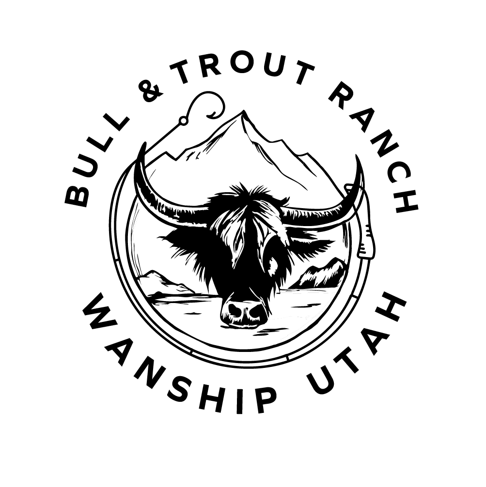 Design de Logo par DesignNXT pour ce projet | Design #34267903