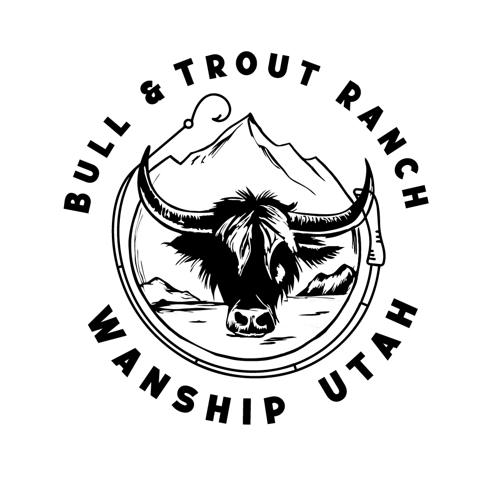 Logo-Design von DesignNXT für dieses Projekt | Design #34267906