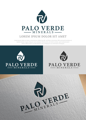 Diseño de Logo por NasarLogo para este proyecto | Diseño: #34271572