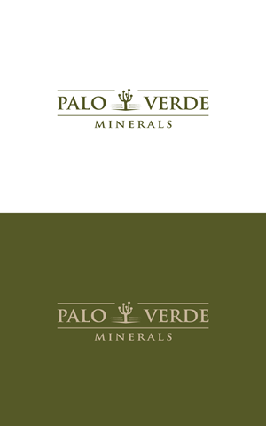 Logo Design by anonrotide for this project | Design #34291735