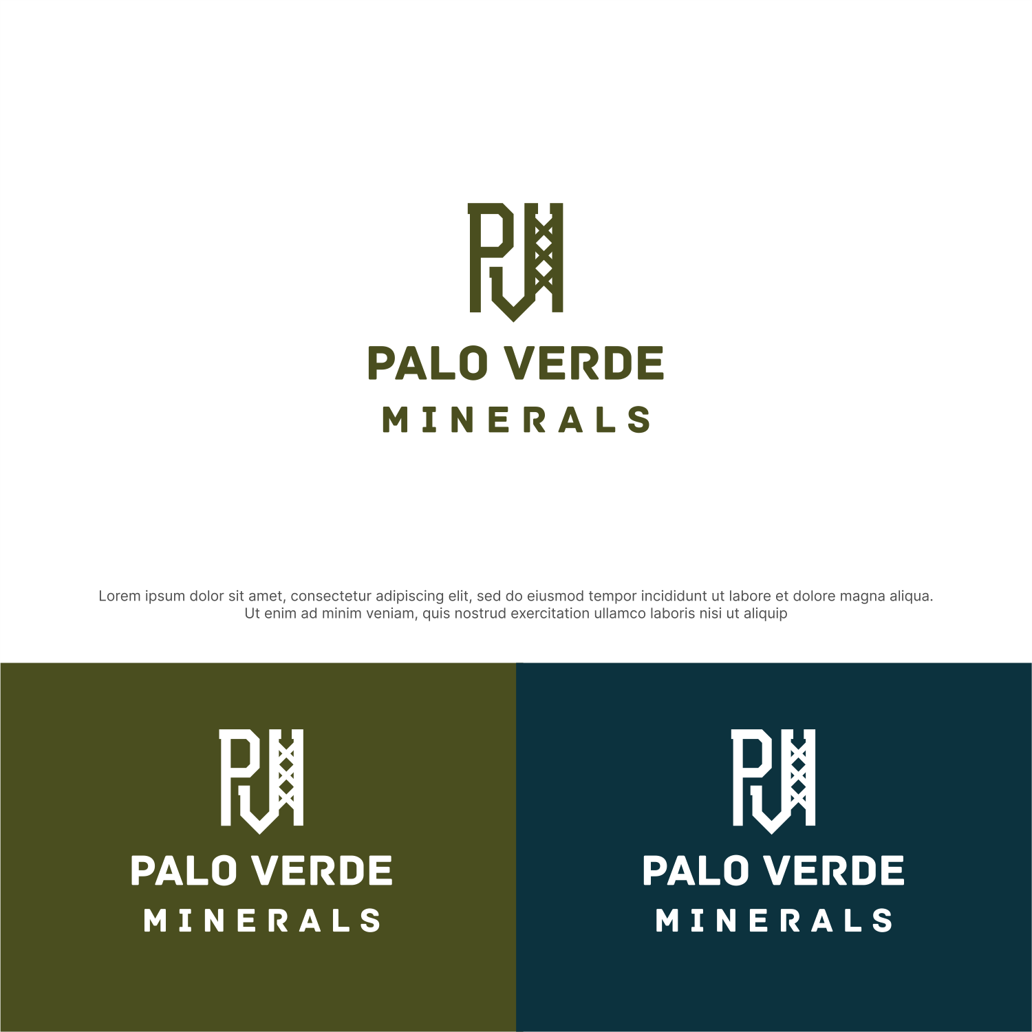 Diseño de Logo por ThiagoB para este proyecto | Diseño #34271715