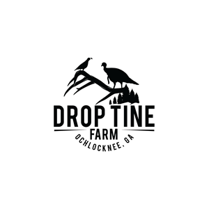 Logo Design by prodesigns99 for this project | Design: #34281662