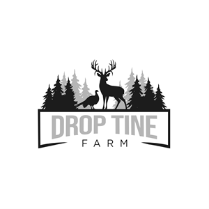 Logo Design by ares_h1