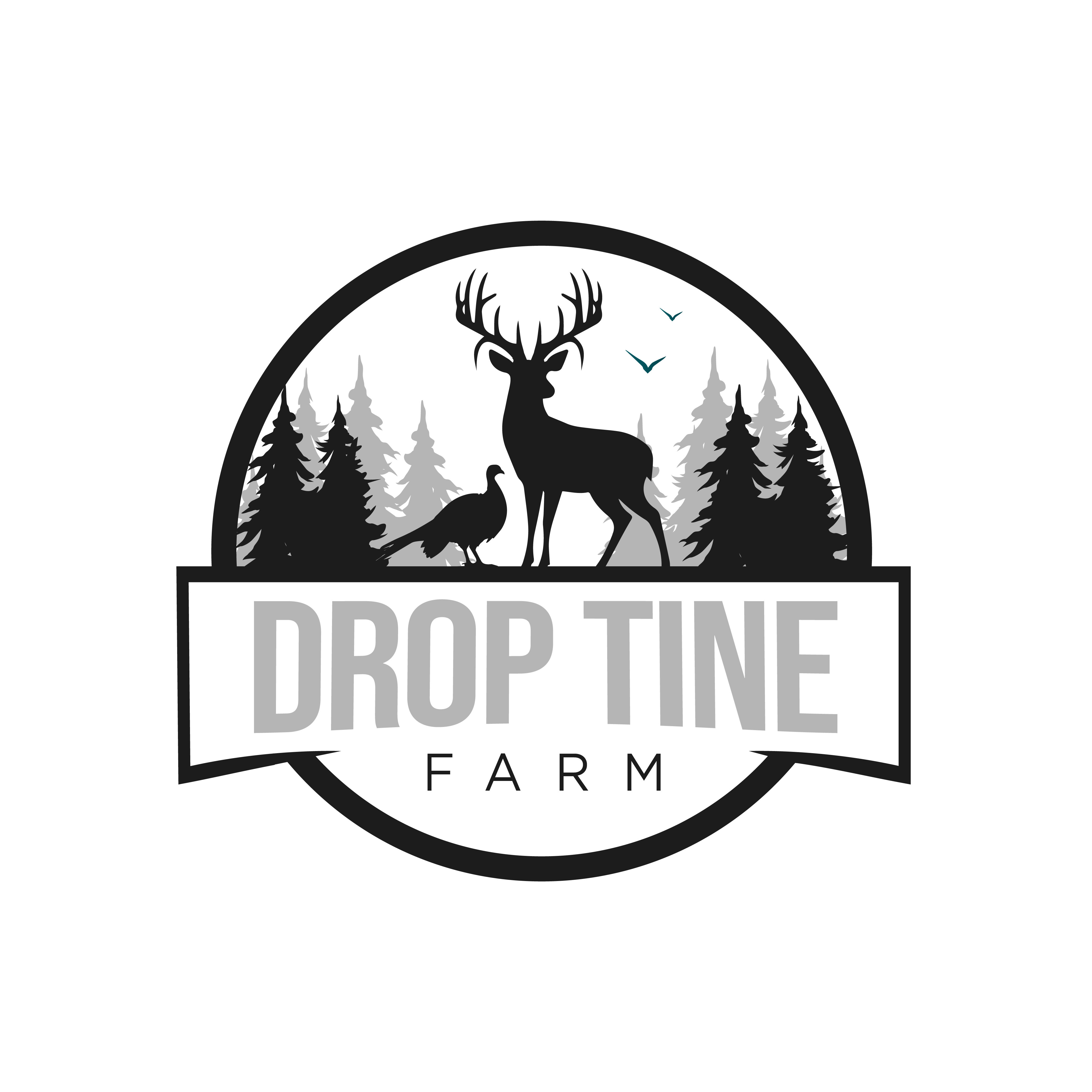 Logo Design by ares_h1 for this project | Design #34303715