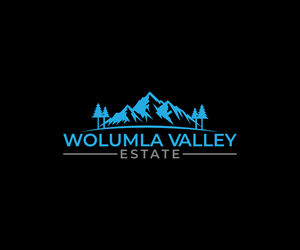 Logo Design by Spark  Design for this project | Design: #34284984