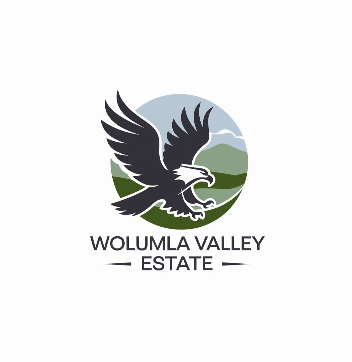 Logo Design by DesignVerse777 for this project | Design #34316908
