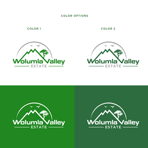 Logo Design by Noor Ezz for this project | Design: #34335055