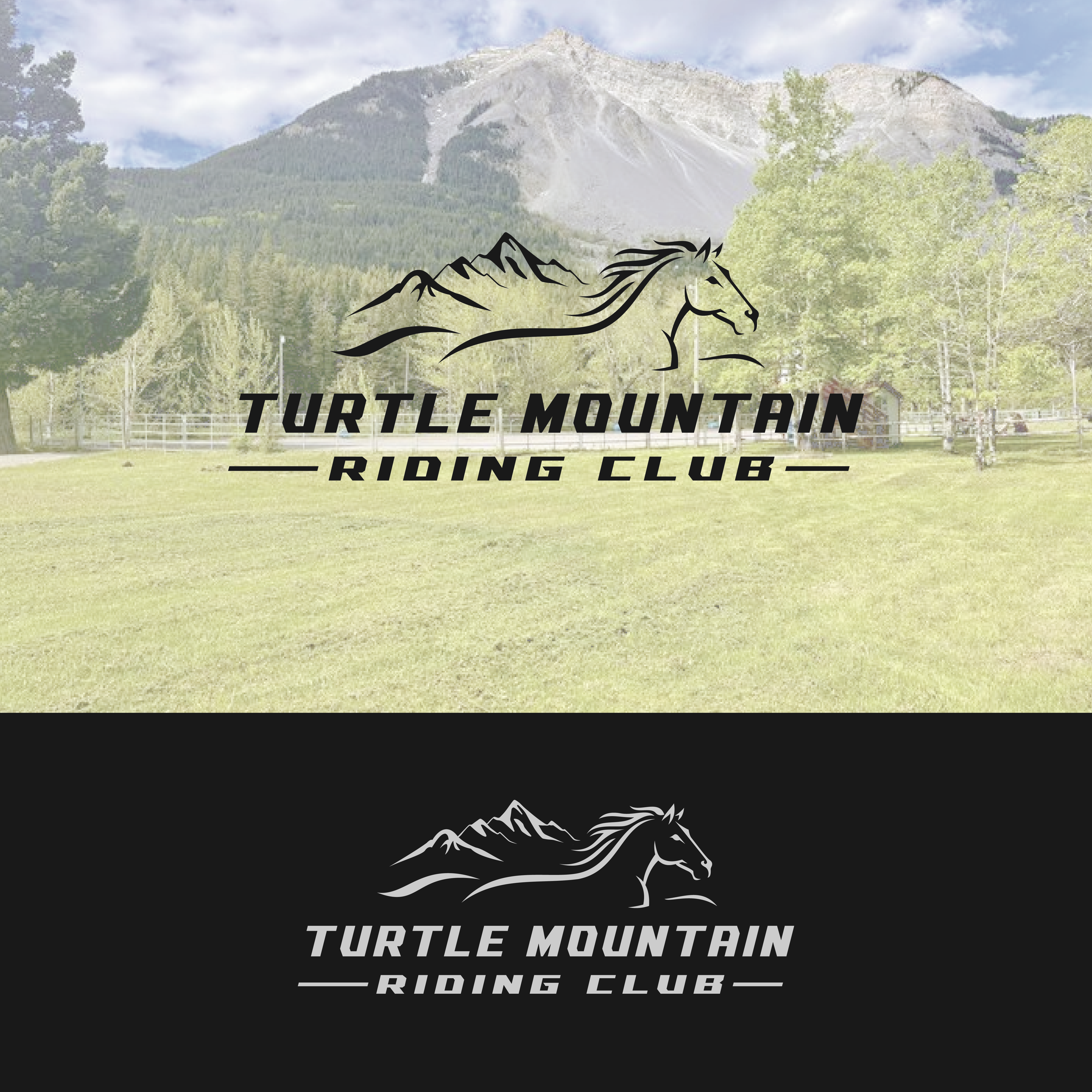Logo Design by TDAC for this project | Design #34280416