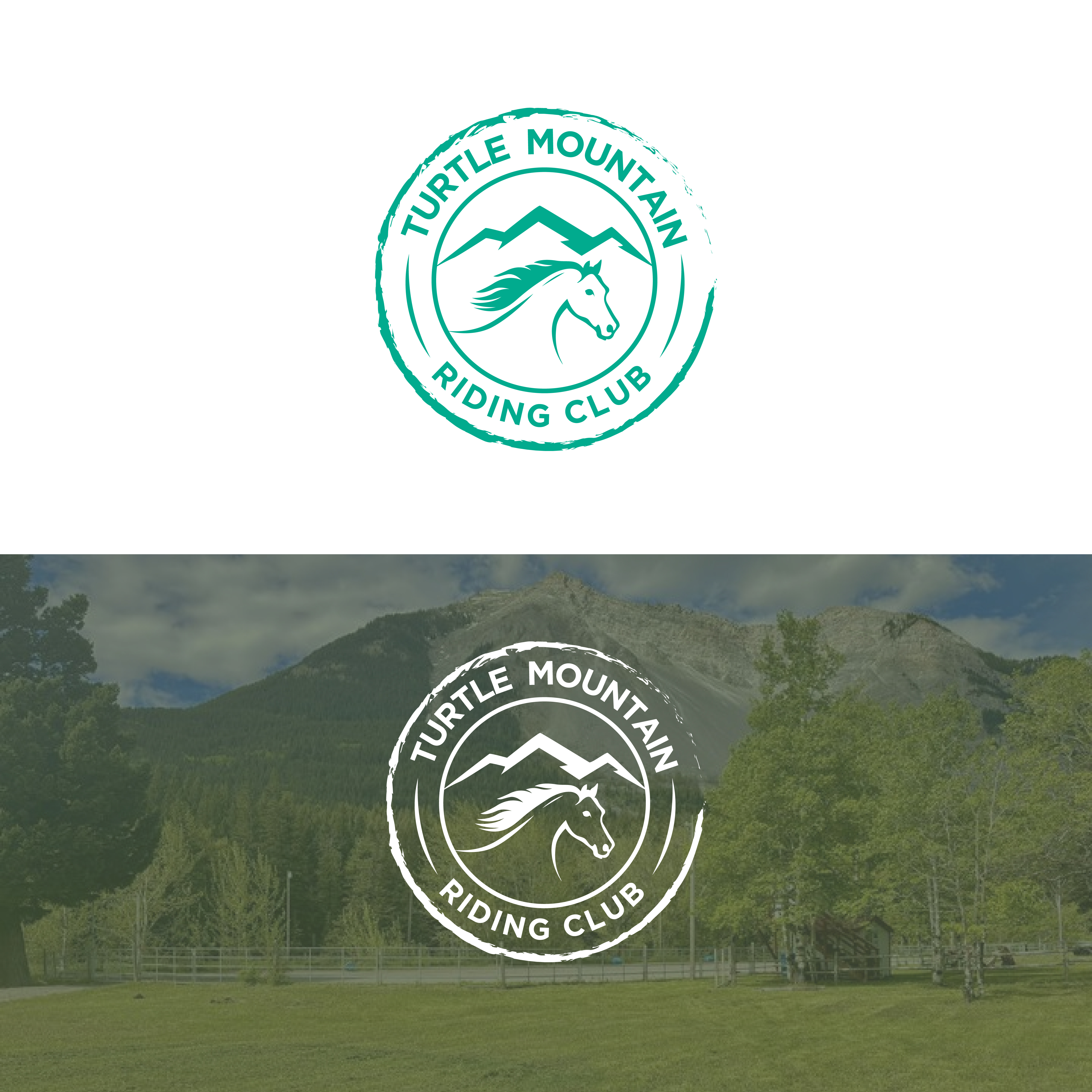 Logo Design by Krold IT Solutions for this project | Design #34283044