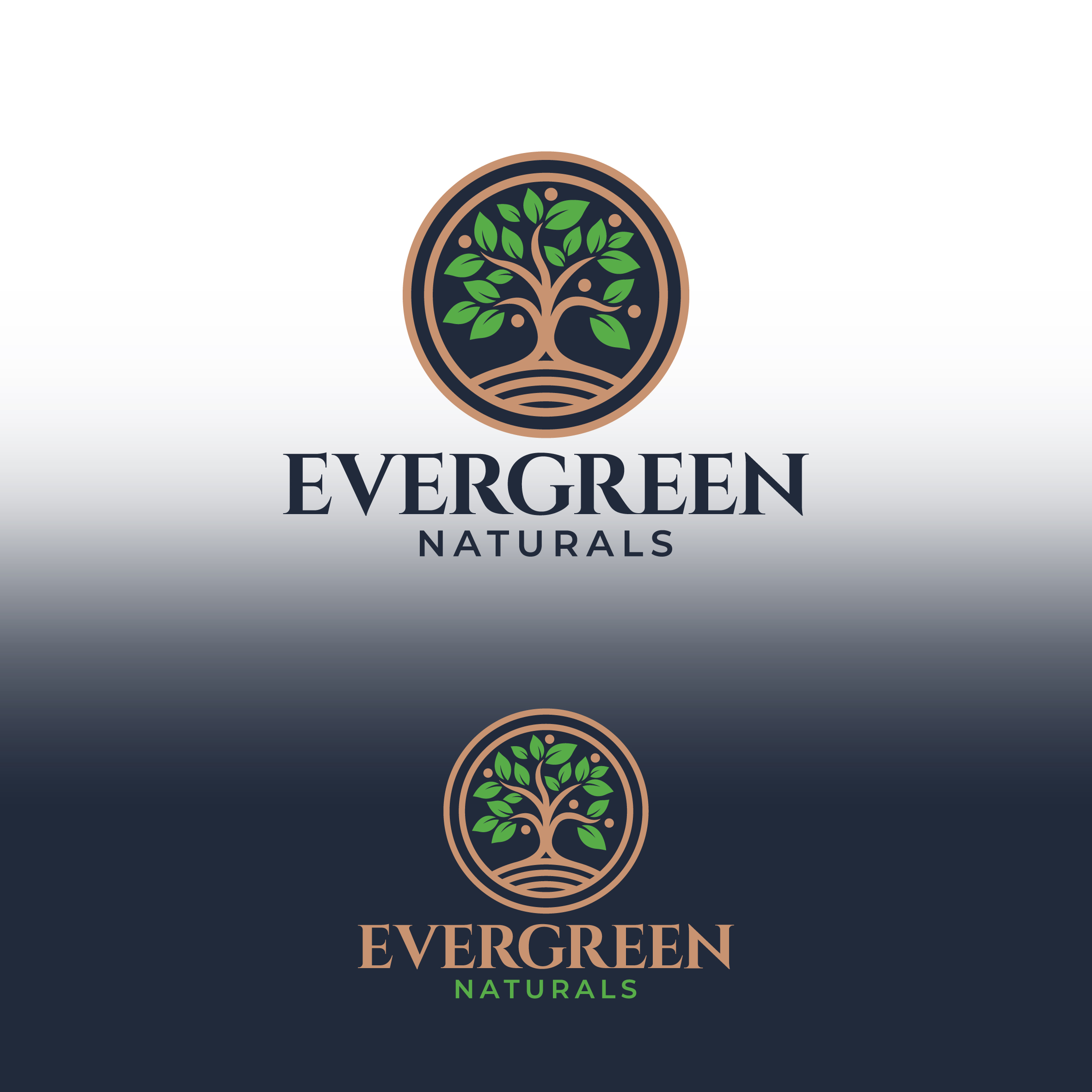 Diseño de Logo por Aljune Castro Designs para este proyecto | Diseño #34287335