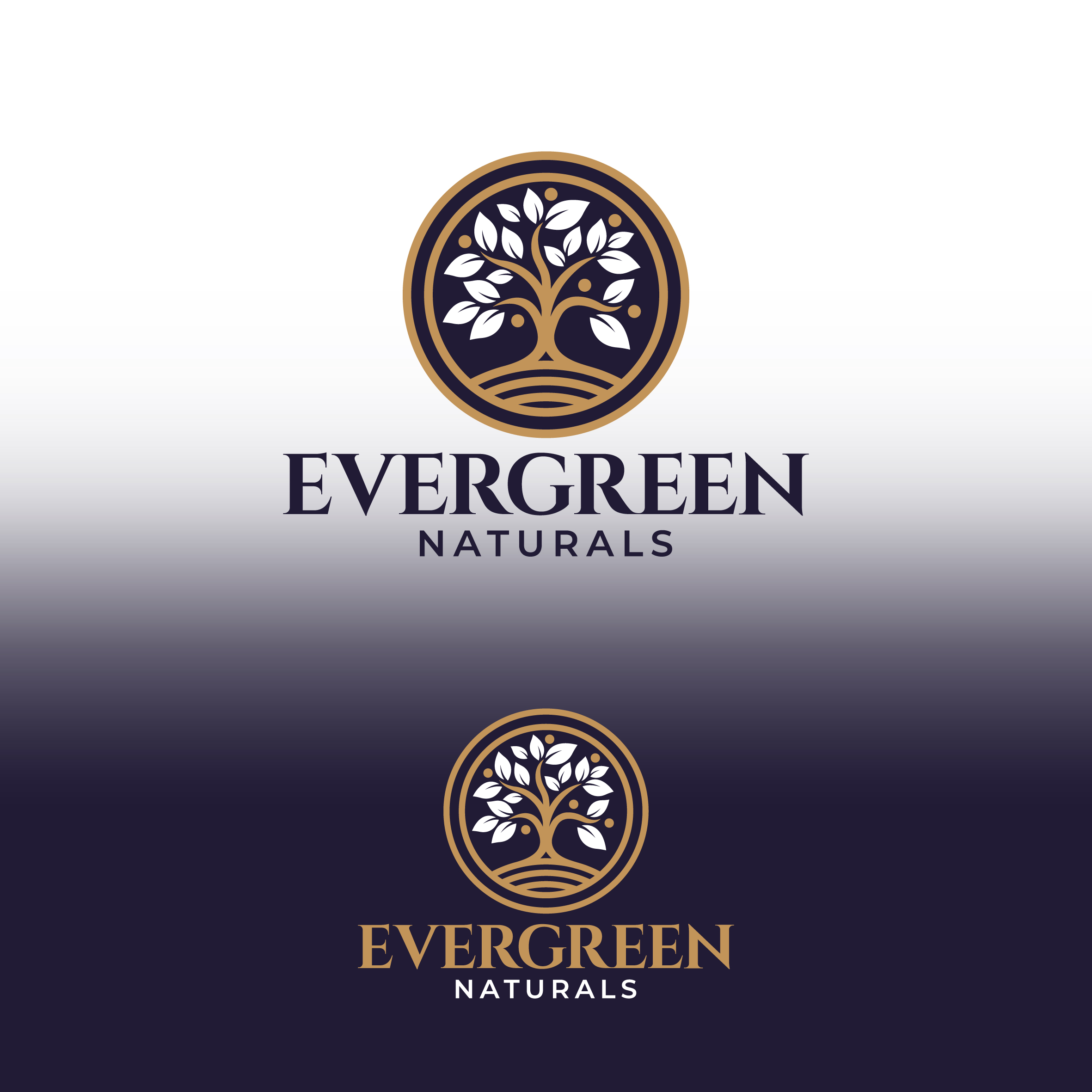 Logo Design by Aljune Castro Designs for this project | Design #34287337