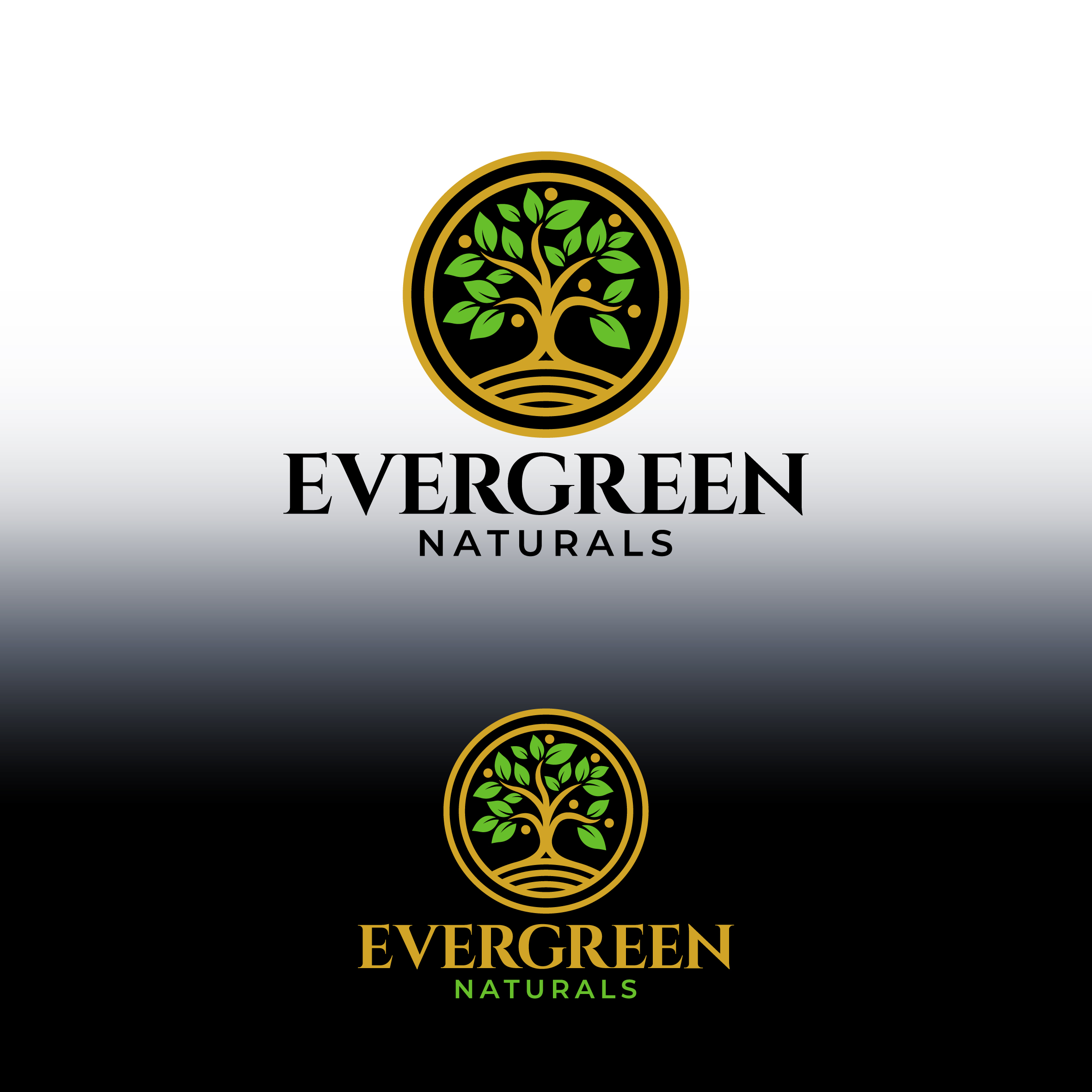 Logo Design by Aljune Castro Designs for this project | Design #34287341