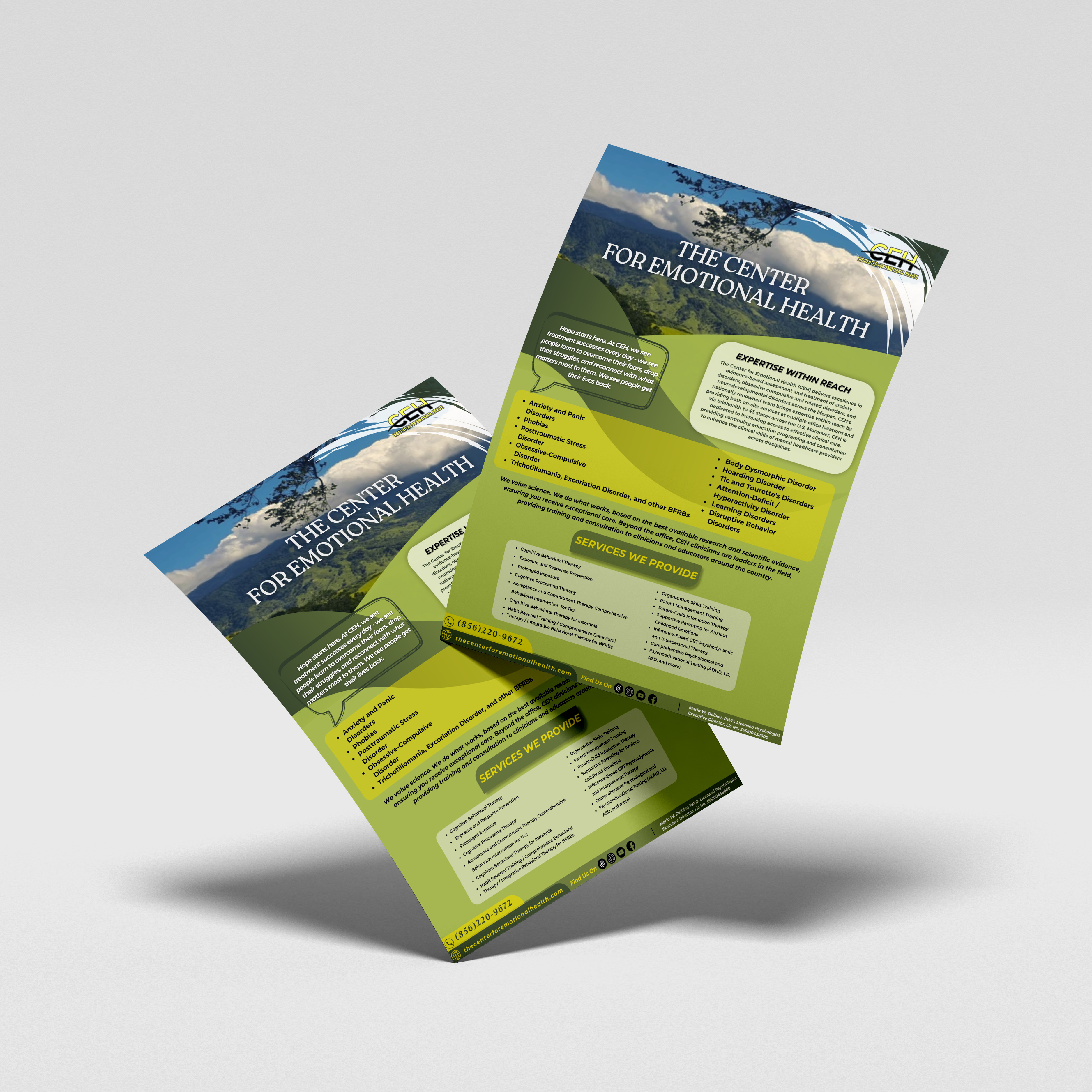 Flyer Design by TheWebD for this project | Design #34323578