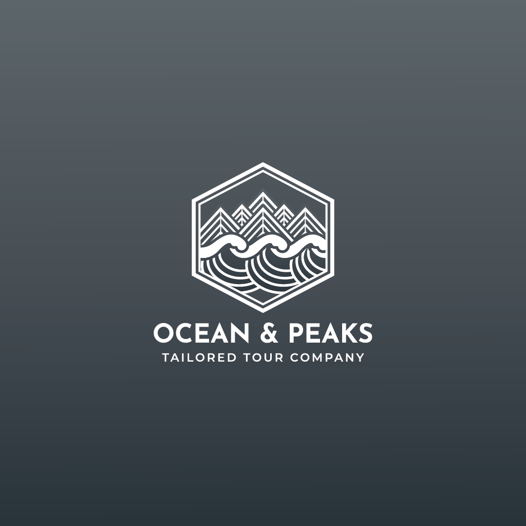 Logo Design by Jerwin Intac for Rui Pedro Ramos Meira Unipessoal, lda | Design #34290237