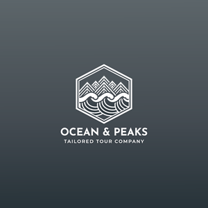 Logo Design by Jerwin Intac for Rui Pedro Ramos Meira Unipessoal, lda | Design: #34290237