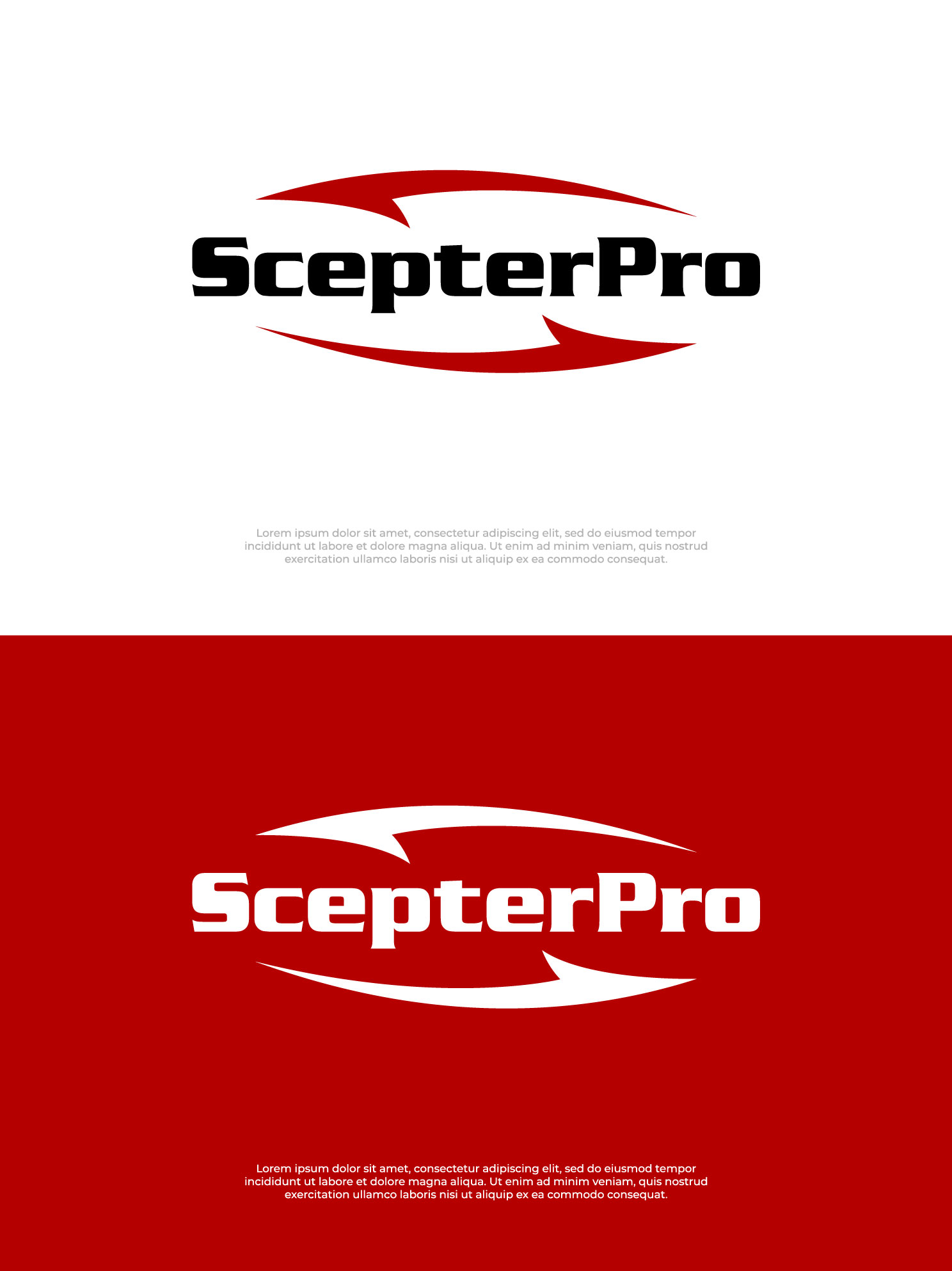 Logo Design by Nash_Shaha for this project | Design #34310174