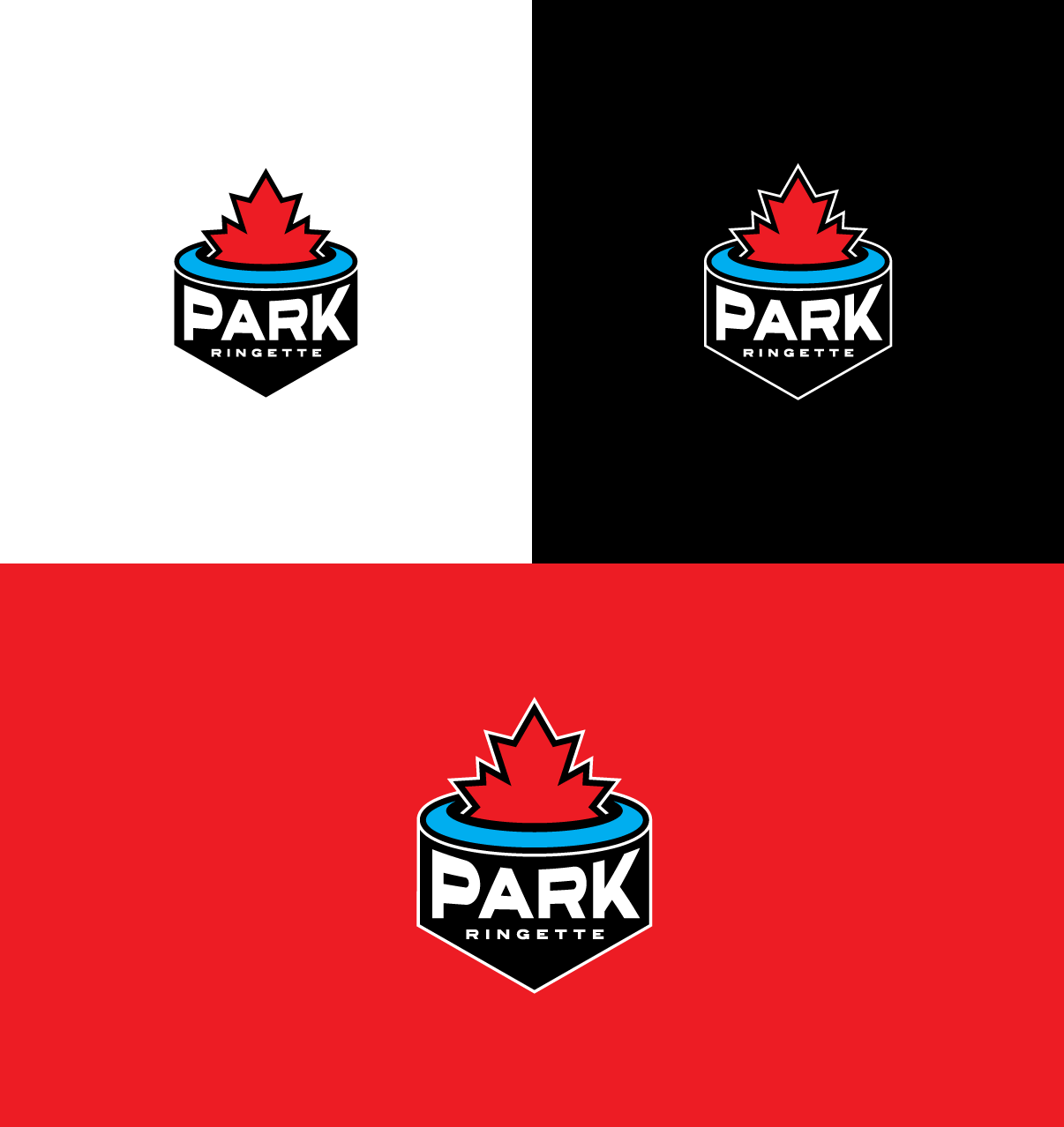 Logo Design by bijuak for this project | Design #34296008
