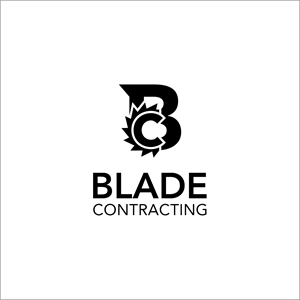 Logo Design by B4LYA