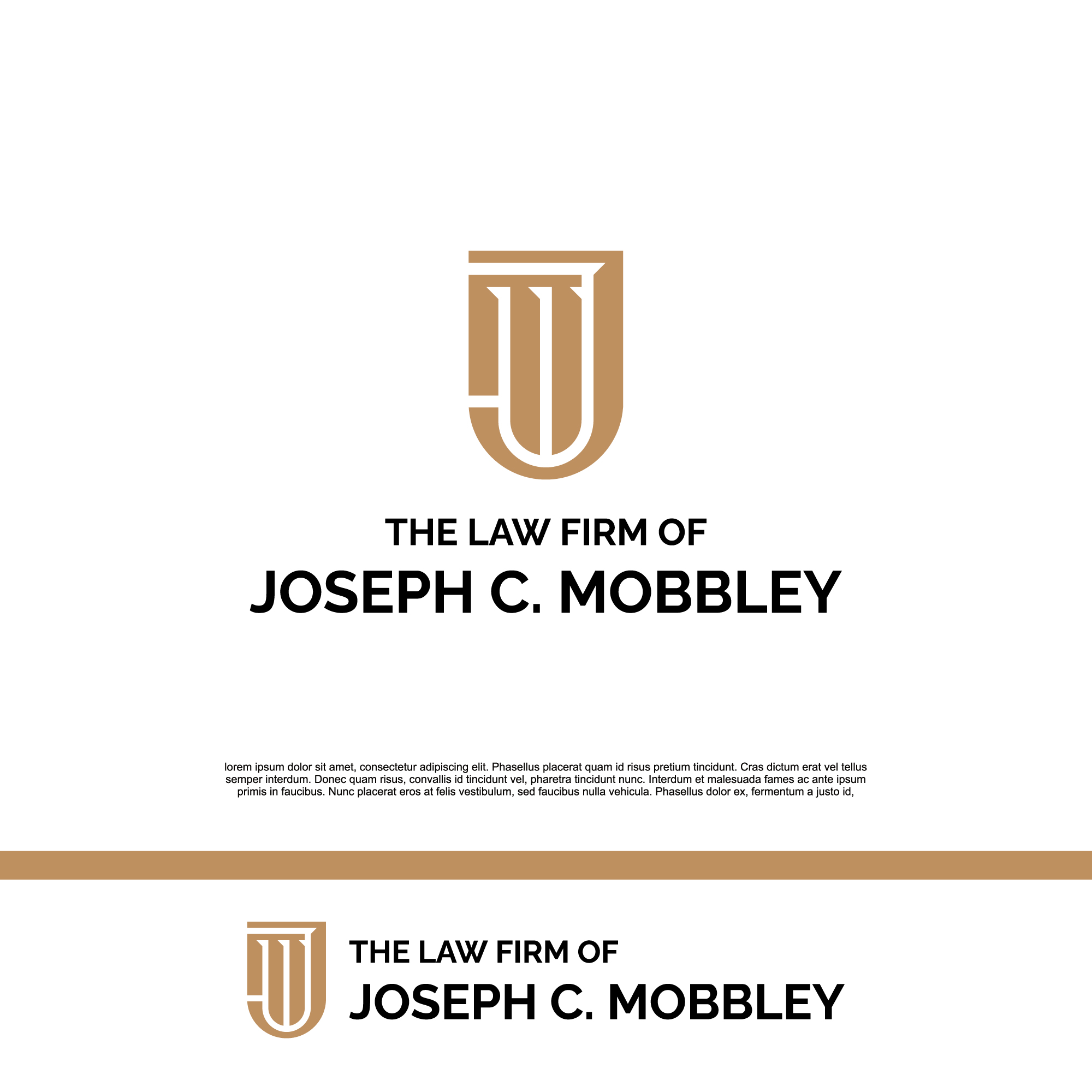 Logo Design by MIRZA Design for this project | Design #34301164