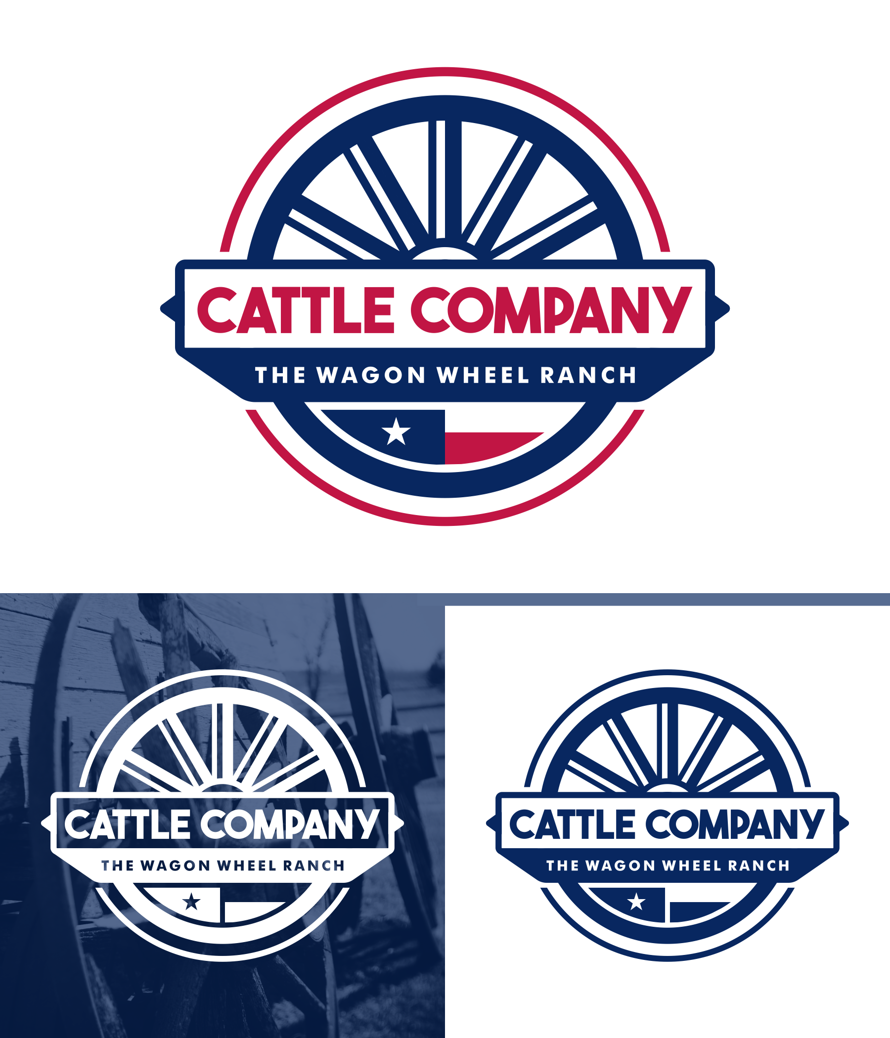 Logo Design by Aezakmi for this project | Design #34309440