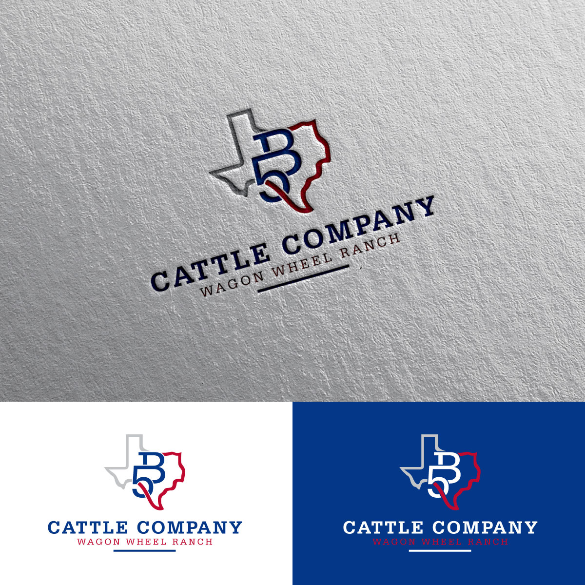 Logo Design by chris Ray for this project | Design #34295484