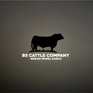 Logo Design by herilyess for this project | Design: #34311698