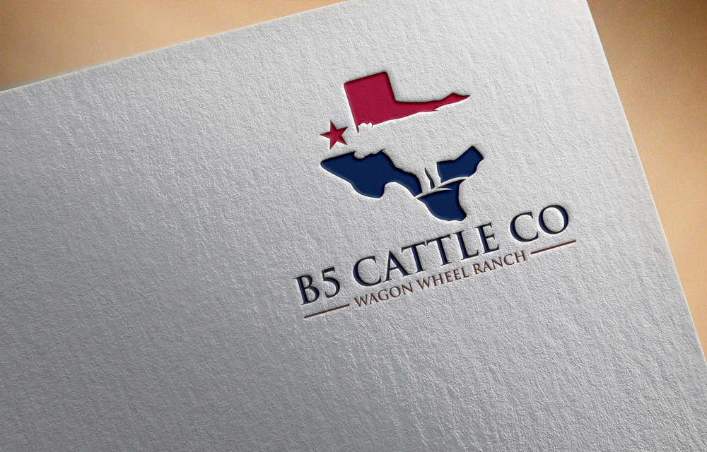 Logo Design by designfire for this project | Design #34306579