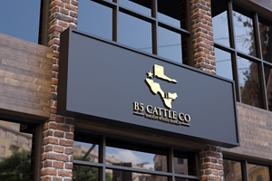 Logo Design by designfire for this project | Design: #34306580