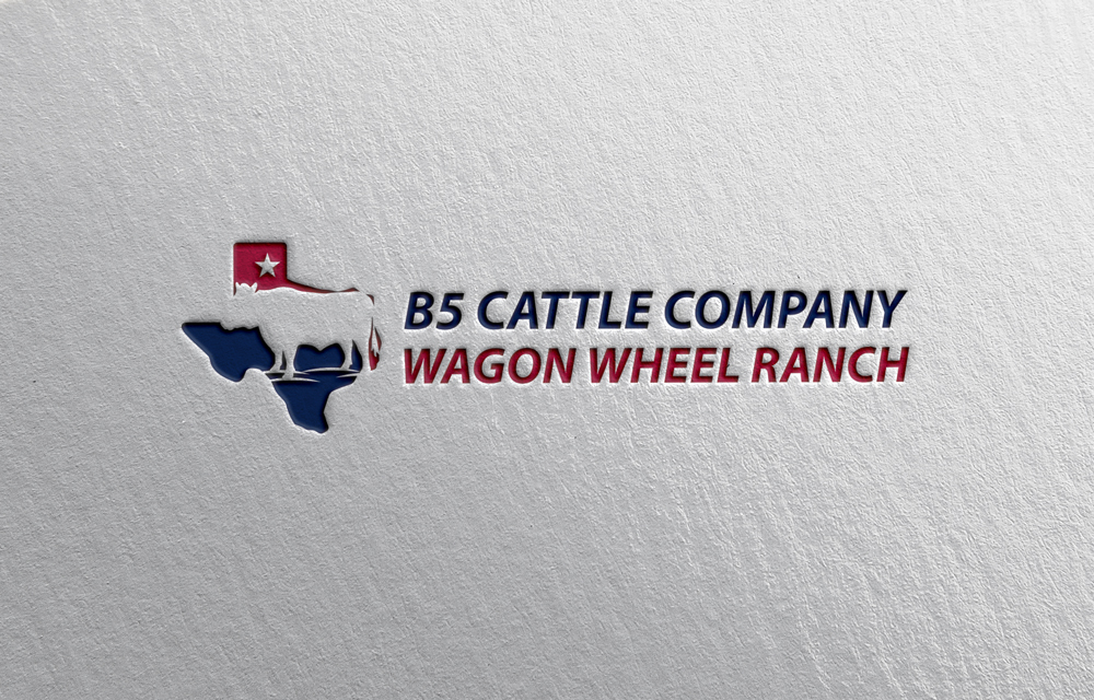 Logo Design by designfire for this project | Design #34306633