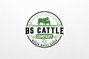 Logo Design by Hanzulla wahid for this project | Design: #34303205