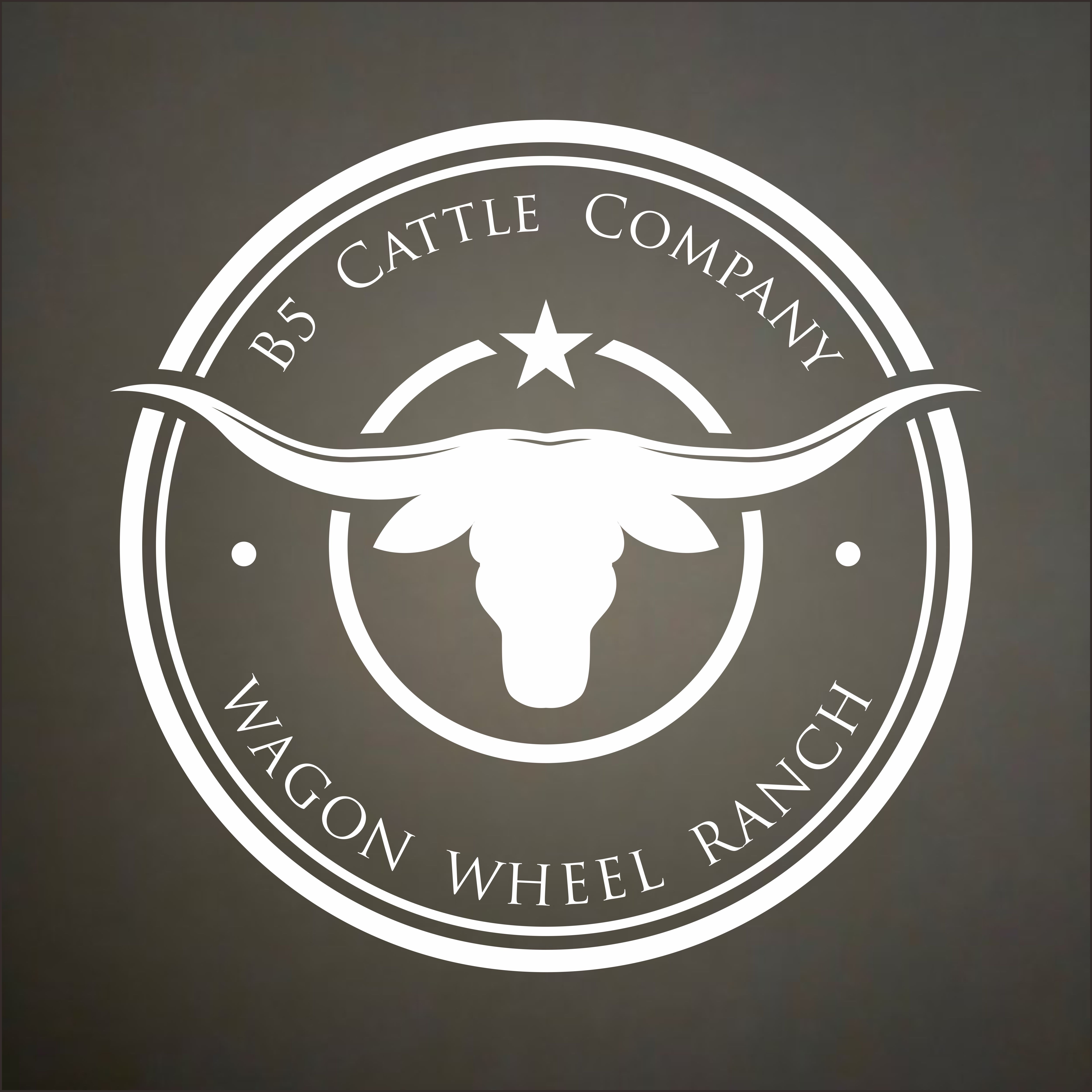 Logo Design by Owl Design for this project | Design #34311475