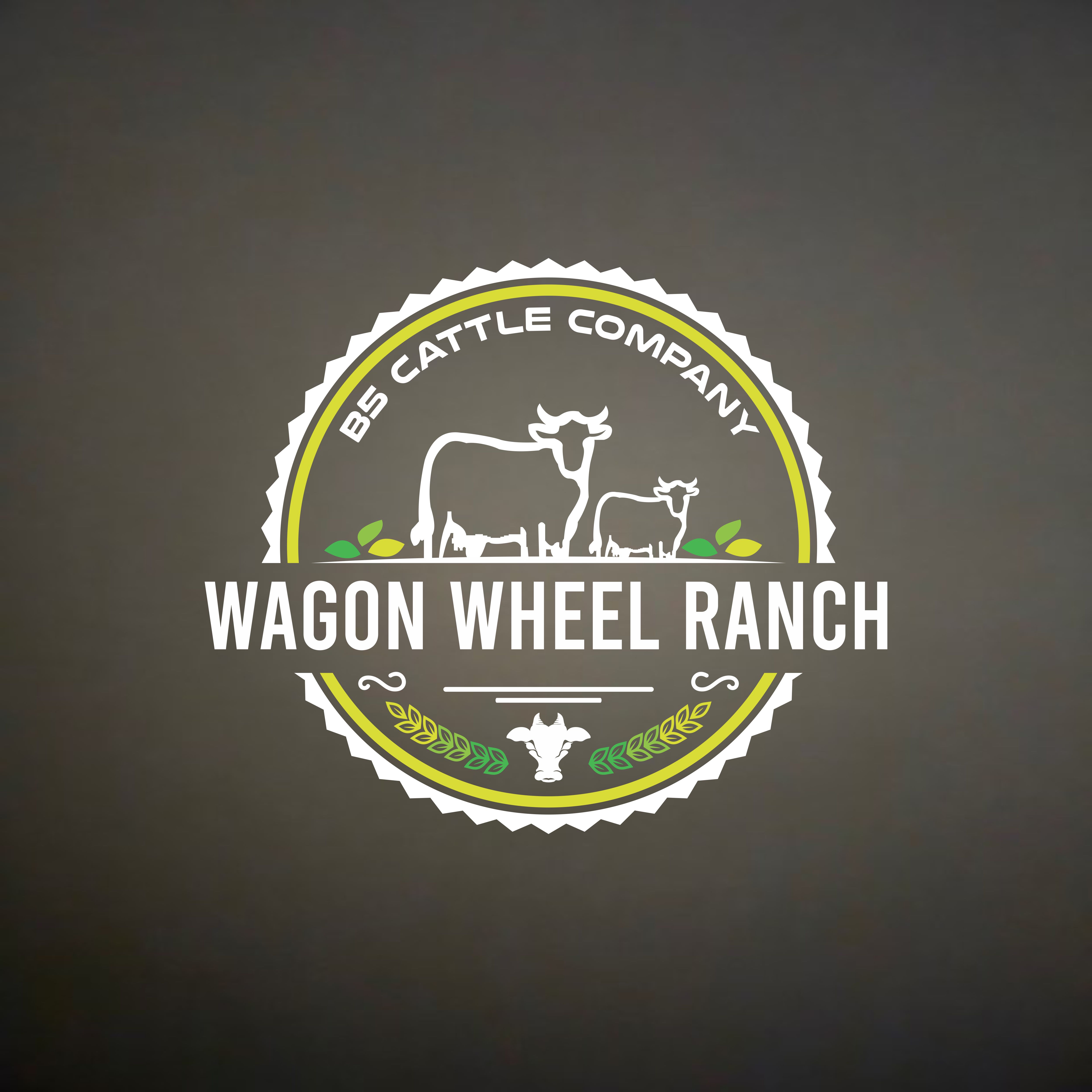 Logo Design by Owl Design for this project | Design #34325751