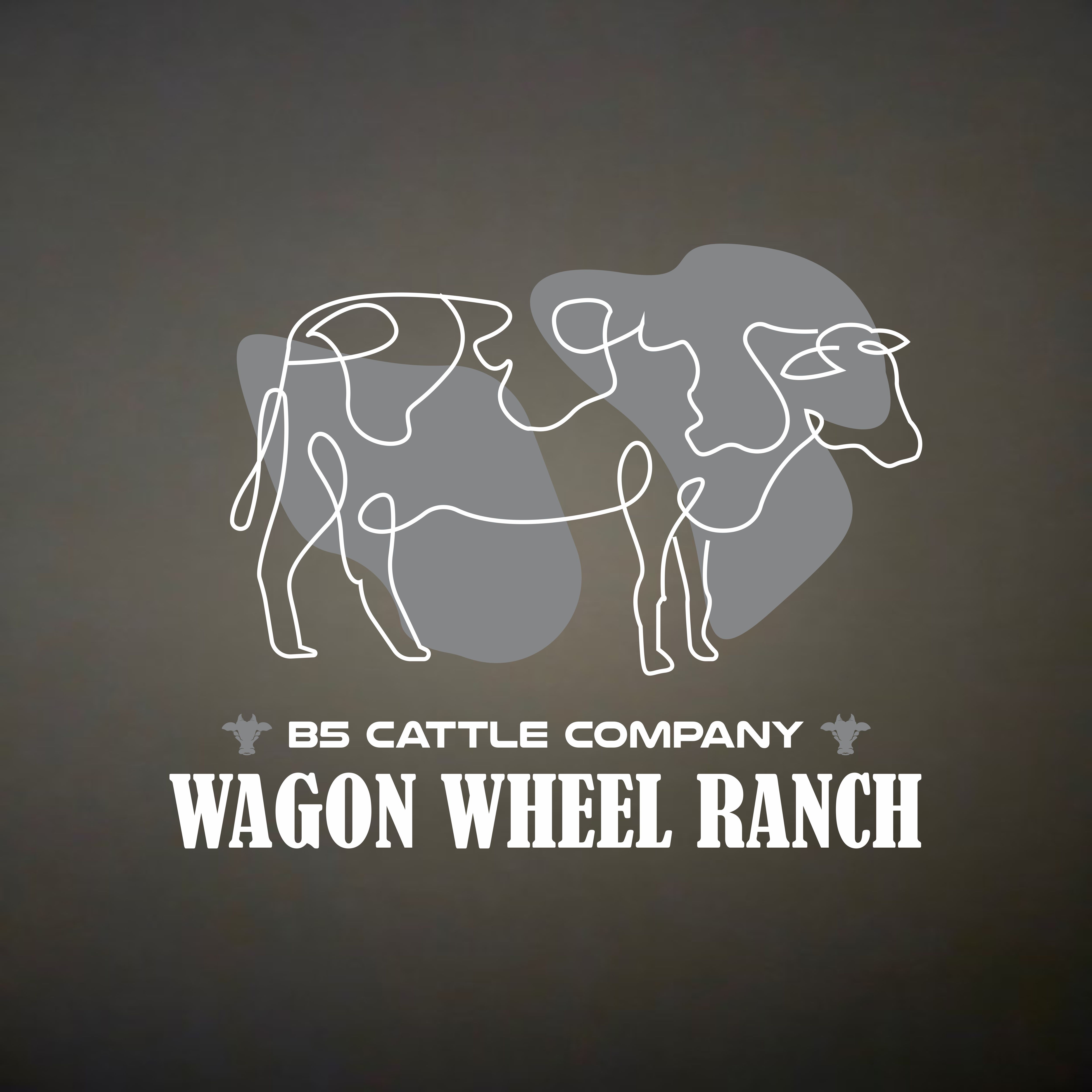 Logo Design by Owl Design for this project | Design #34325754