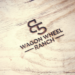 Logo Design by Solarex Corporation for this project | Design: #34307232