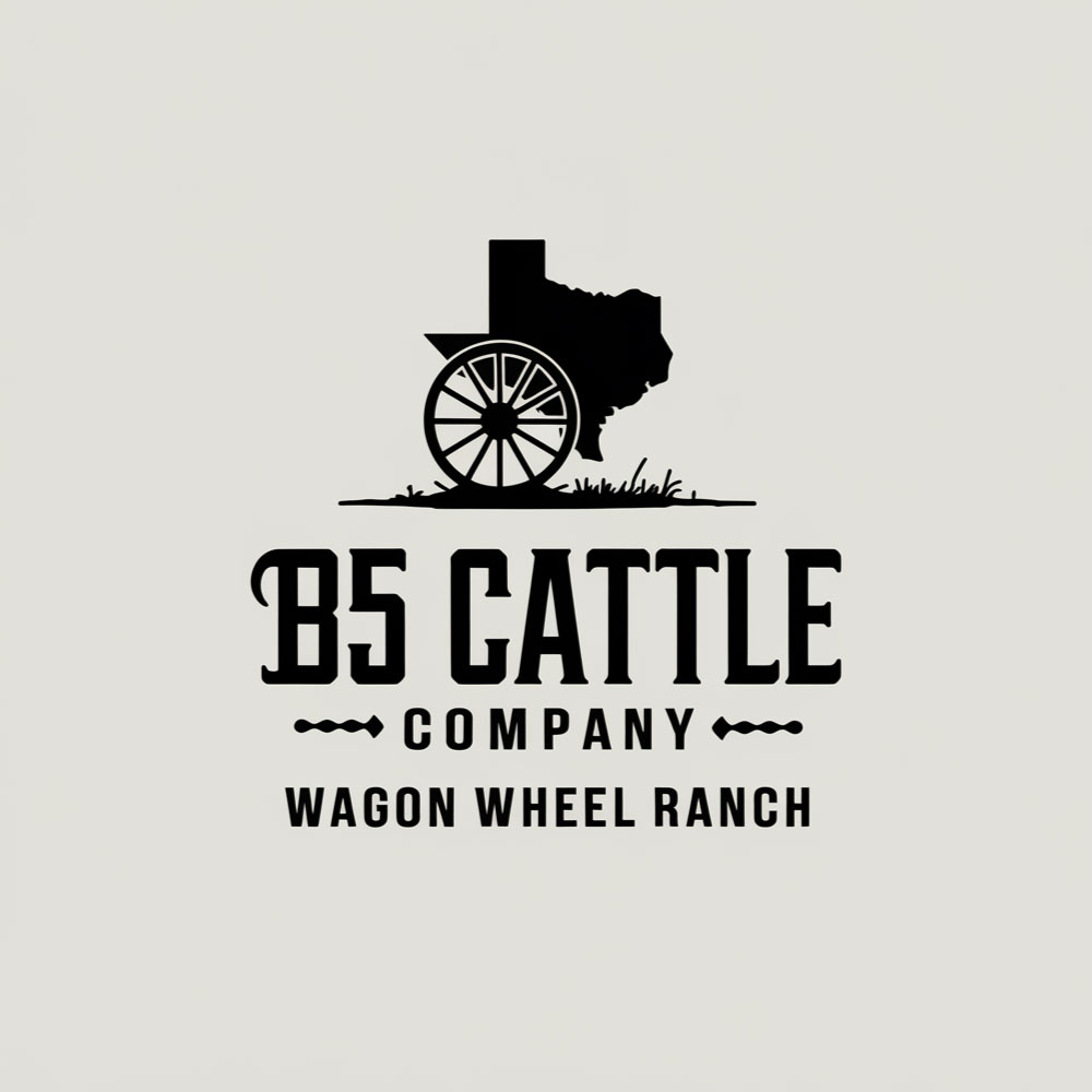 Logo Design by M S H for this project | Design #34298590