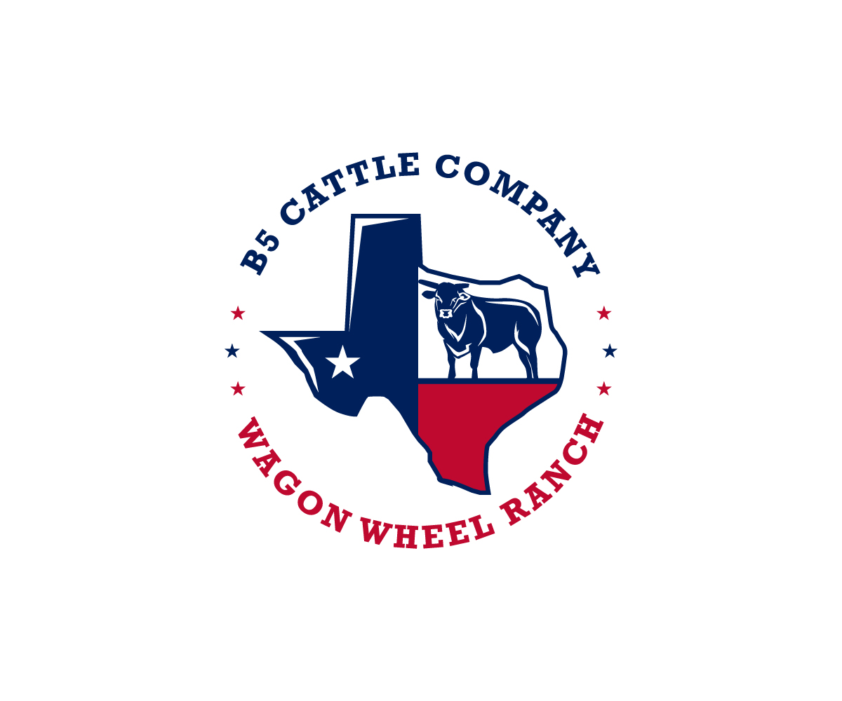 Logo Design by Ansh Design for this project | Design #34297049