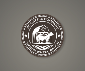 Logo Design by Ansh Design for this project | Design: #34297050