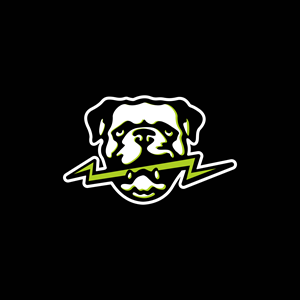 Logo-Design von faria24/7 für dieses Projekt | Design: #34306955