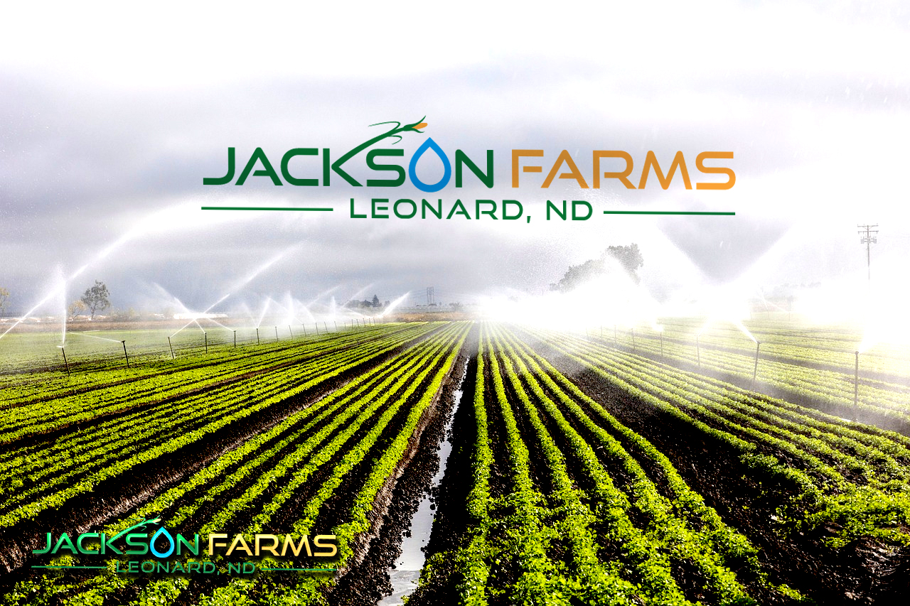 Logo Design by zebronicgraphic for this project | Design #34315882