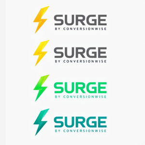 Logo Design by anemidesign