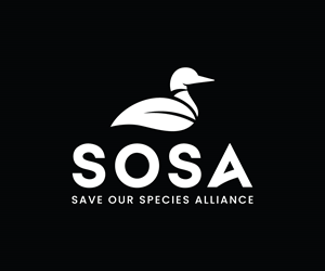Logo Design by Adi Graphics for this project | Design: #34417436