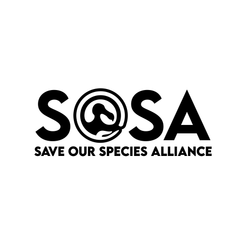 Logo Design by DiandraKali for this project | Design #34322878