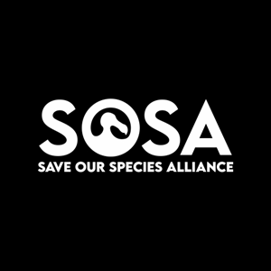 Logo Design by DiandraKali for this project | Design: #34323539