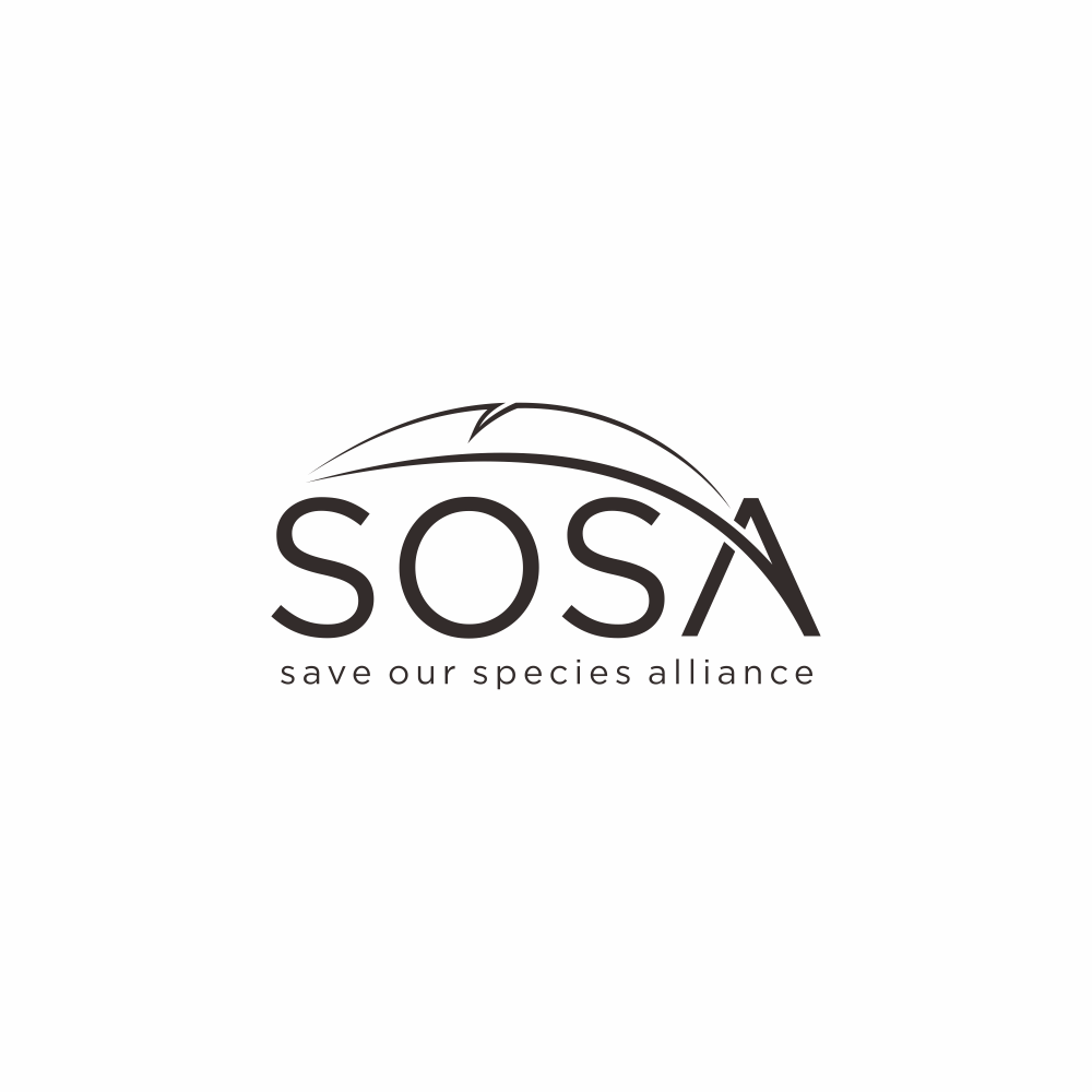 Logo Design by bulbull for this project | Design #34321347