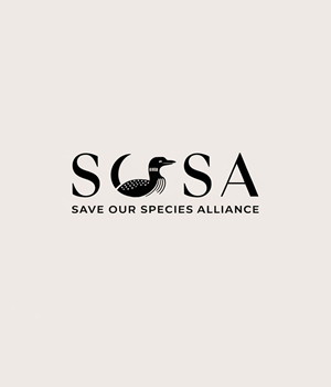 Logo Design by Riyaa.001 for this project | Design: #34328269