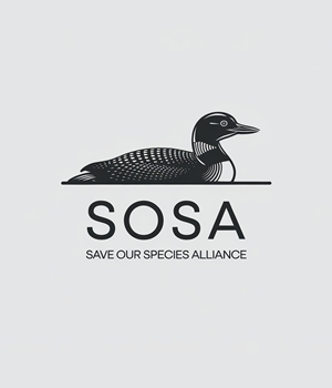 Logo Design by Riyaa.001 for this project | Design: #34328270