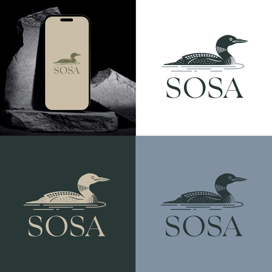 Diseño de Logo por victipedia para este proyecto | Diseño #34324379