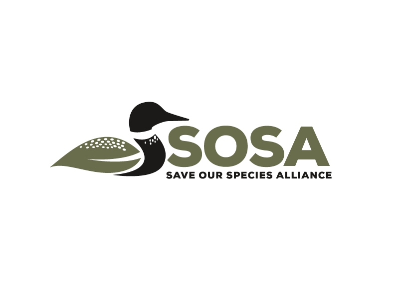 Logo Design by Dream Logo Design for this project | Design #34323181