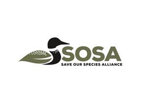 Logo Design by Dream Logo Design for this project | Design: #34323181